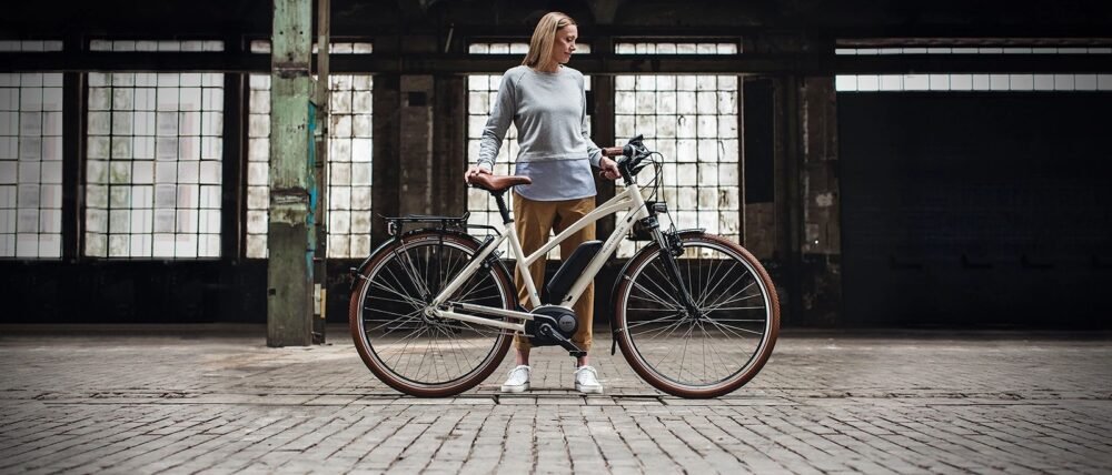 Riese und Müller Cruiser Mixte – Bild 2