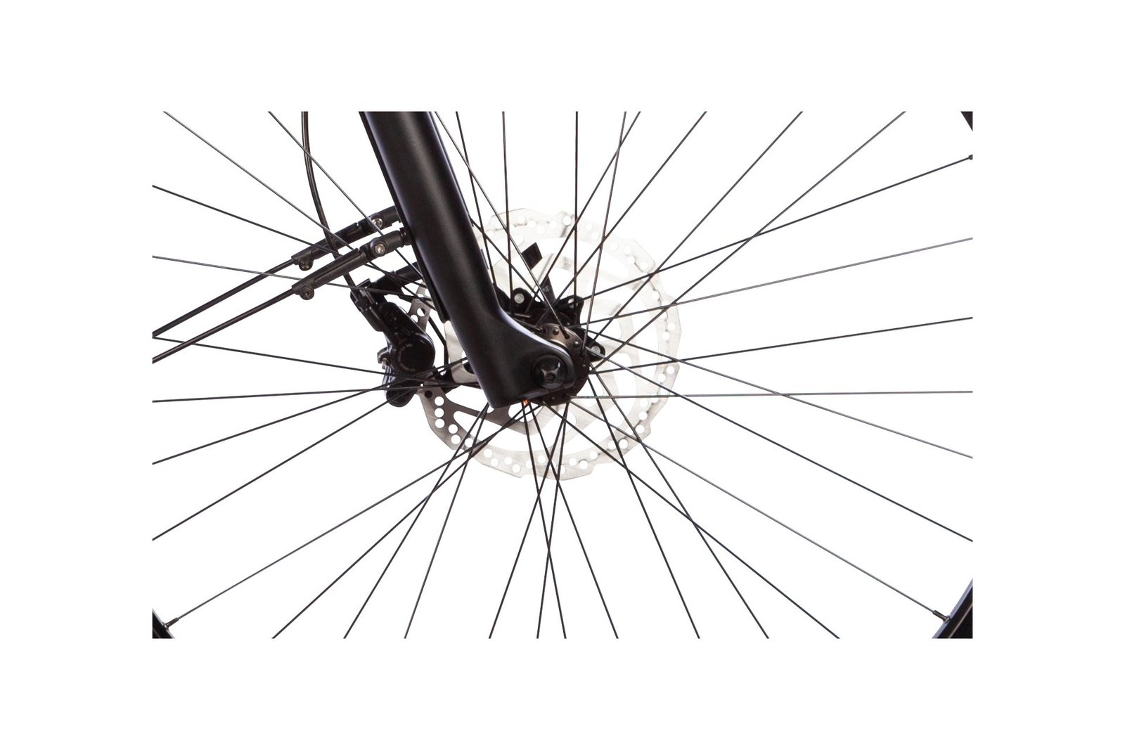 Carver Route E.440 2022 Diamant – Bild 8