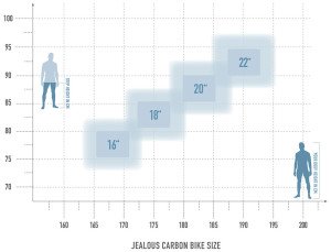 Radon Jealous 9.0 – Bild 2