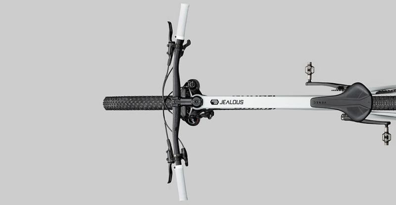 Radon Jealous AL 8.0 – Bild 3