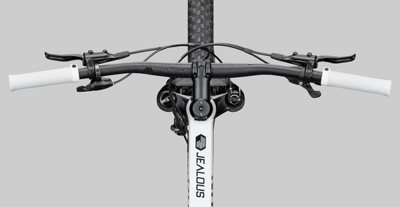 Radon Jealous AL 8.0 – Bild 6