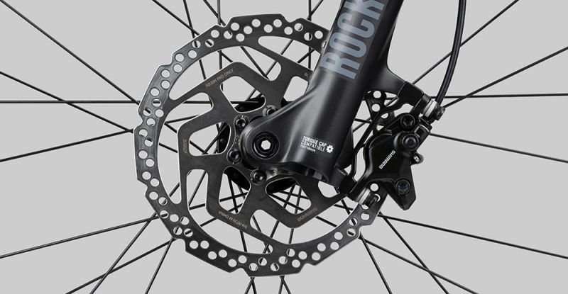 Radon Jealous AL 8.0 – Bild 9